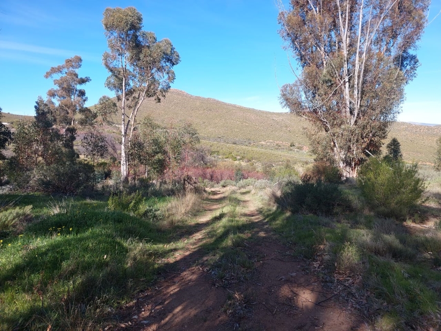 7 Bedroom Property for Sale in Ladismith Rural Western Cape